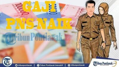 Kenaikan gaji pns pppk 16 persen informasi resmi bkn