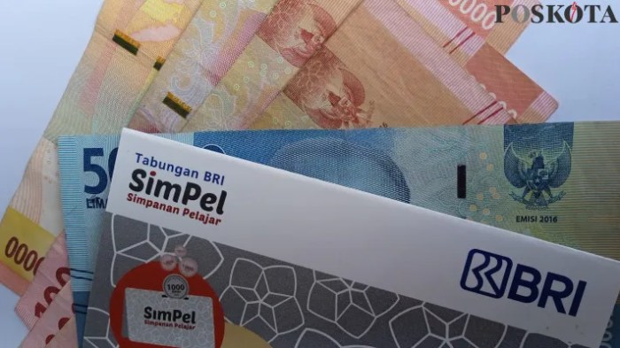 Prosedur pengecekan NISN untuk pencairan dana PIP April 2025