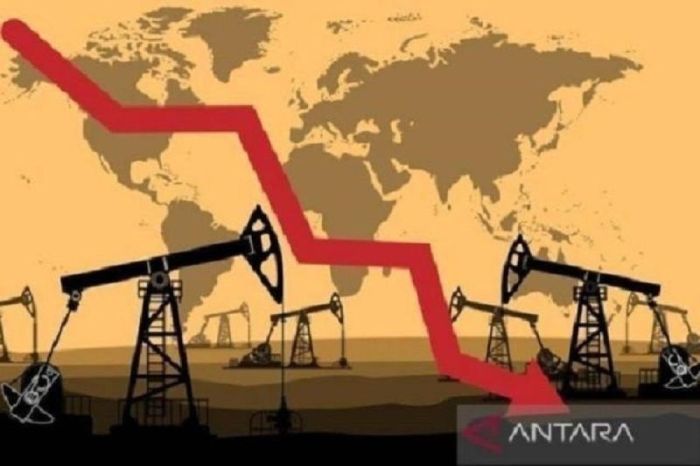 Kebijakan kuota perdagangan internasional impor pembatasan atau makalah penjelasan contoh lengkap