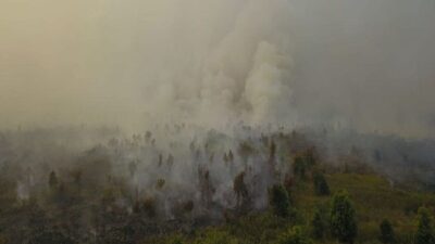 Dampak asap kebakaran hutan israel terhadap negara tetangga