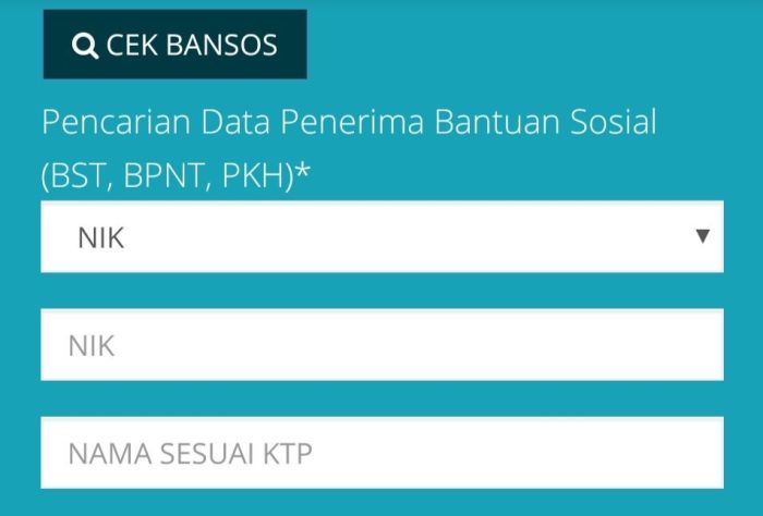 Bansos pkh mei 2025 cek penerima online gratis