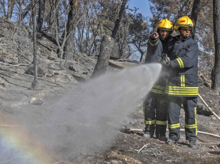 Kerjasama internasional dalam menangani kebakaran hutan Israel