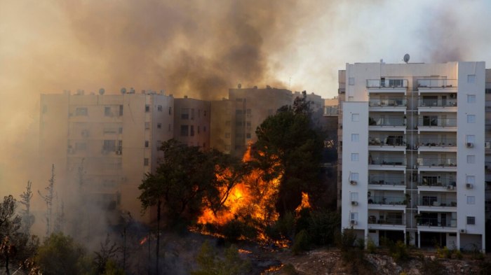 Kerjasama internasional dalam menangani kebakaran hutan Israel