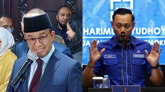 Reaksi komunitas terhadap pembatalan Brooke Bellamy sebagai duta