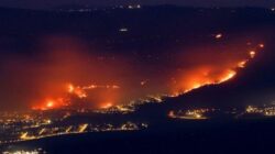 Kerjasama internasional dalam menangani kebakaran hutan Israel