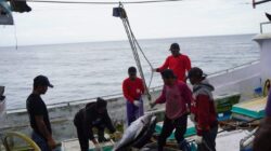Upaya Pelestarian Sumber Daya Ikan Tuna di Indonesia