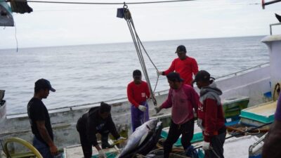 Upaya pelestarian sumber daya ikan tuna di Indonesia
