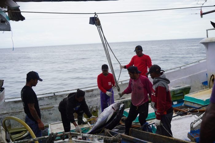 Upaya pelestarian sumber daya ikan tuna di Indonesia