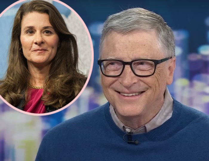 Kerugian program makan gratis bill gates menurut bos bgn