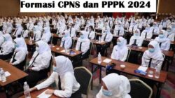 Daftar Instansi Pusat PPPK 2024 dan NIP CPNS Selesai Penerimaan