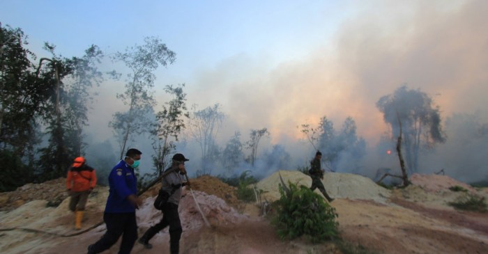 Haze kebakaran hutan dampak negatif lahan Dampak asap kebakaran hutan israel terhadap negara tetangga