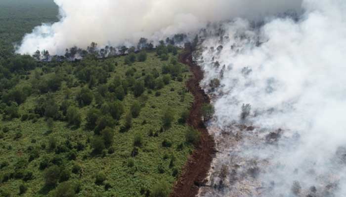 Dampak asap kebakaran hutan israel terhadap negara tetangga