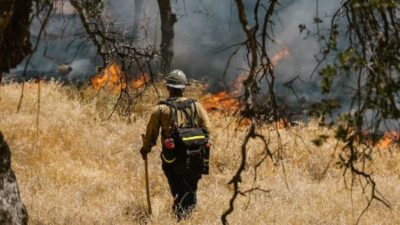 Dampak Kebakaran Hutan Israel terhadap Kesehatan Masyarakat
