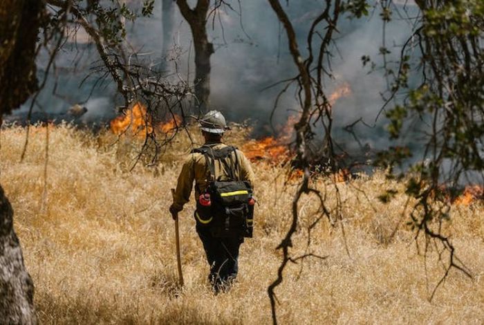Dampak kebakaran hutan israel terhadap kesehatan masyarakat