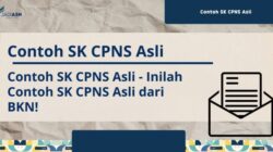 Verifikasi SK CPNS/PPPK 42 Instansi Tahapan dan Tantangan